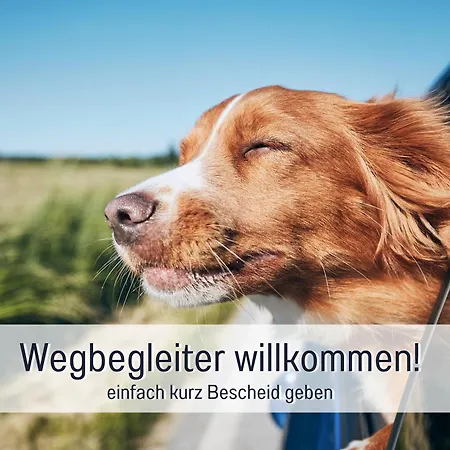 Stadtapartment By Live It - Voll Ausgestattete Kueche, Smarttv, Waschtrockner, 1-5 Pers شقة *