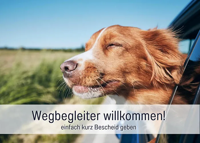 Stadtapartment By Live It - Voll Ausgestattete Kueche, Smarttv, Waschtrockner, 1-5 Pers Apartamento *